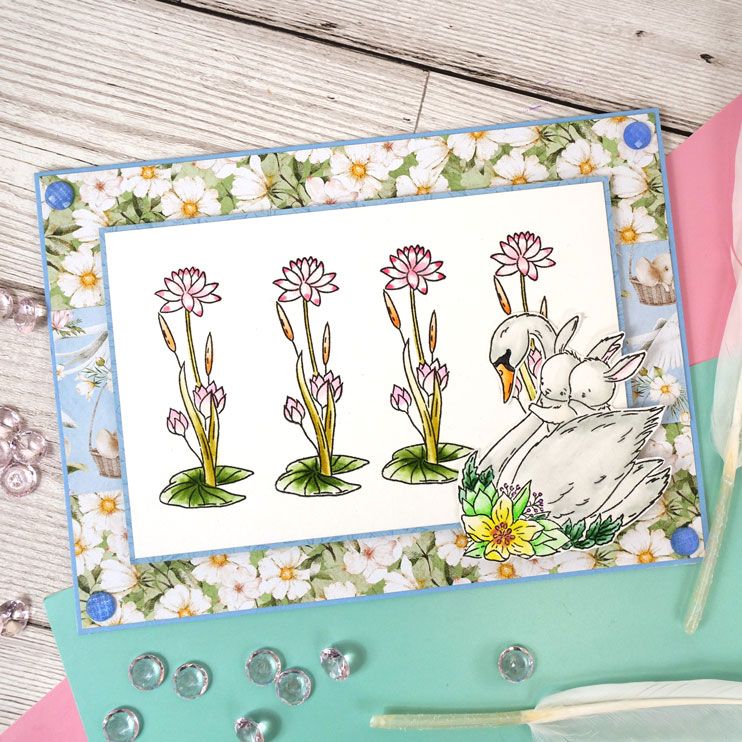 Swan Lake Gallery Hunkydory Crafts