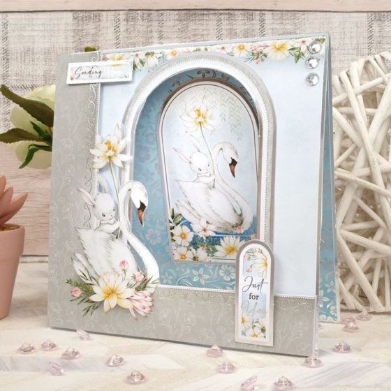 Our Swan Lake Club Gift is Here! Hunkydory Crafts